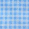 blue and white check - flannel